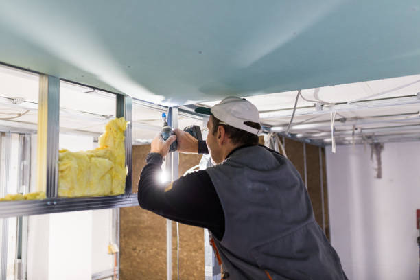 Best Insulation Contractors for Homes  in Conway, AR