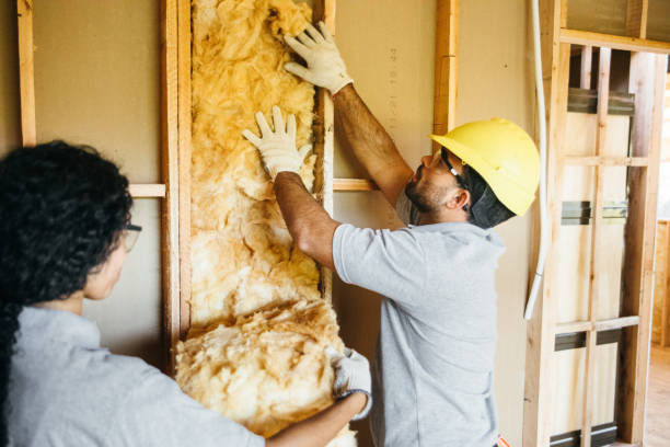 Best Professional Insulation Contractor  in Conway, AR
