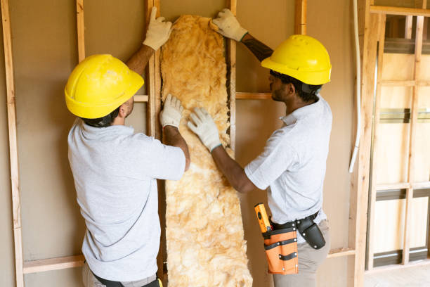 Best Cellulose Insulation  in Conway, AR