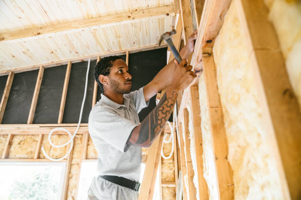 Best Home Insulation Services  in Conway, AR