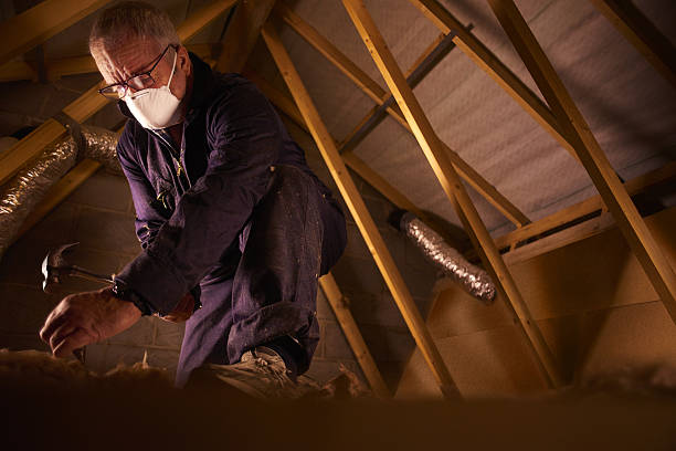 Best Insulation for New Construction  in Conway, AR